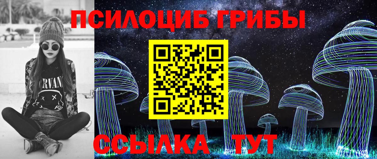 Псилоцибиновые грибы Cubensis Ивантеевка